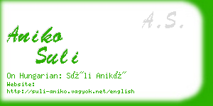 aniko suli business card